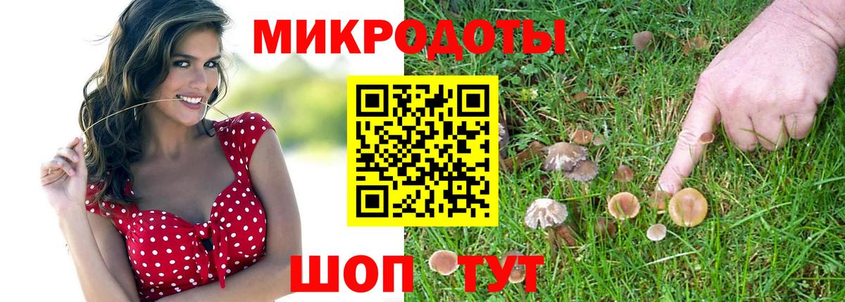 Псилоцибиновые грибы MAGIC MUSHROOMS  наркота  Хабаровск  Вход с VPN 